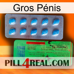 Gros Pénis new03
